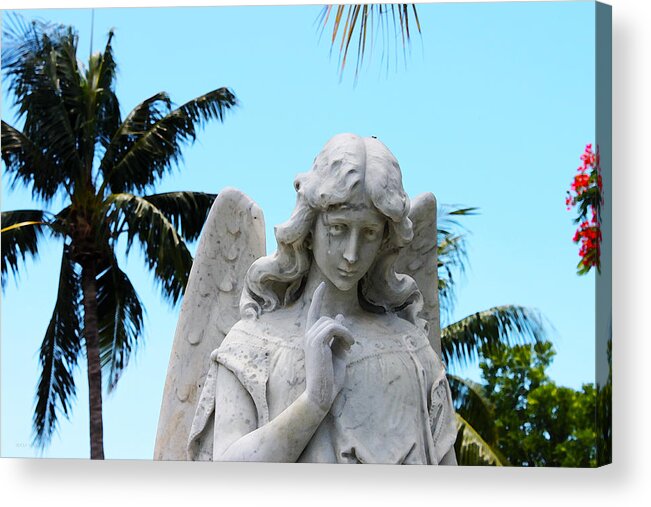Susan Vineyard Acrylic Print featuring the photograph Tropical Angel With Tear by Susan Vineyard