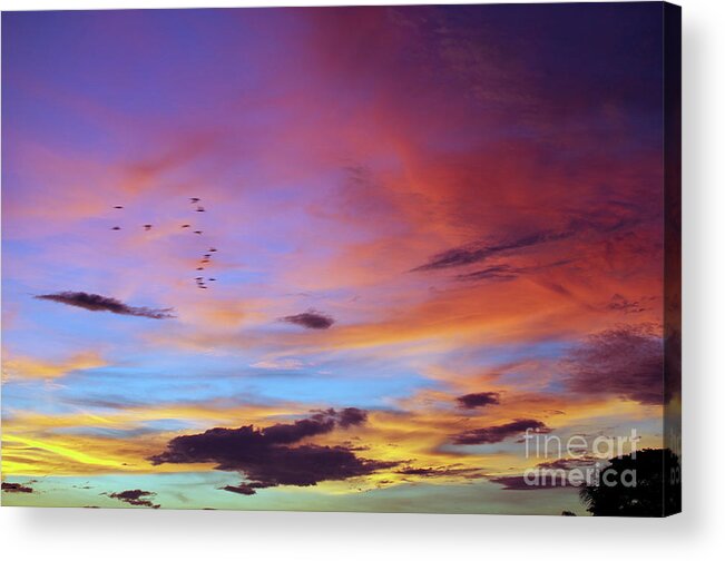Inspiring Acrylic Print featuring the photograph Tropical North Queensland Sunset Splendor by Kerryn Madsen-Pietsch