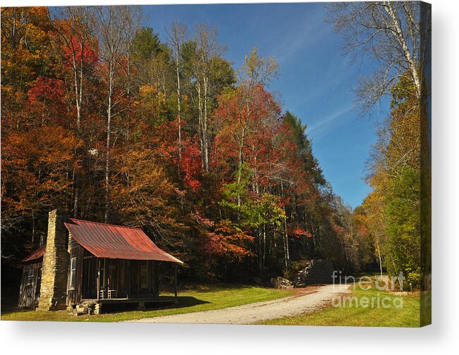 Cabin Acrylic Print featuring the photograph Tucked Away in Fall by Randy Rogers