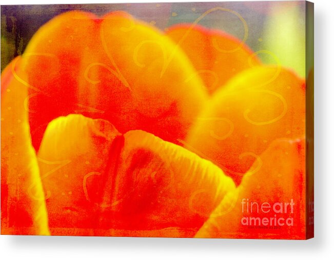 Nectar Acrylic Print featuring the digital art Tulip Nectar by Jean OKeeffe Macro Abundance Art