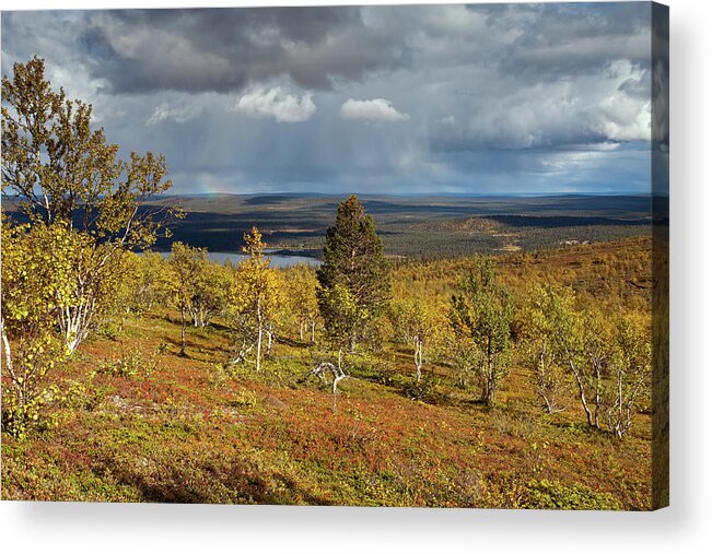 Rihmakuru Acrylic Print featuring the photograph Tundra View by Aivar Mikko