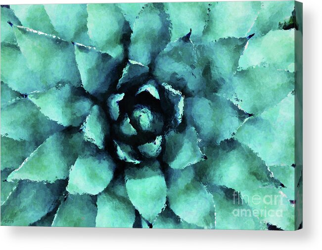 Succulent Acrylic Print featuring the digital art Turquoise Succulent Plant by Phil Perkins