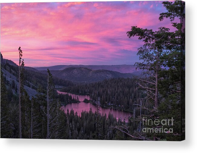 Trees Acrylic Print featuring the photograph Twilight Mammoth Lakes by Brandon Bonafede