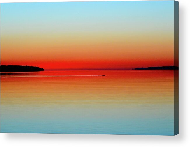 Abstract Acrylic Print featuring the photograph Two Cormorants Swimming Across Kempenfelt Bay by Lyle Crump