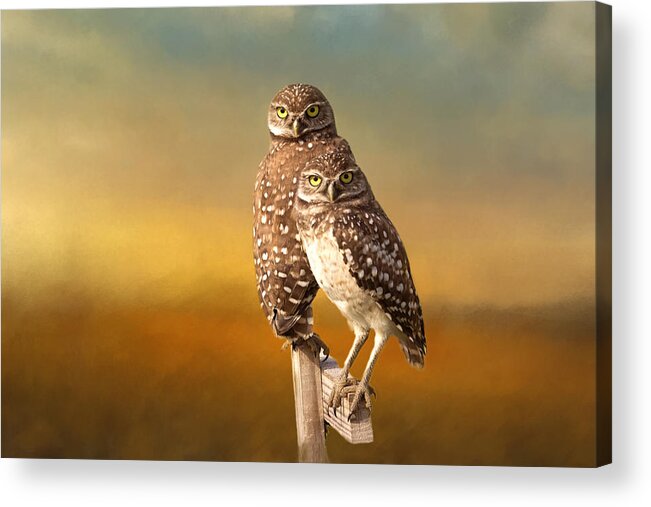 Owl Acrylic Print featuring the photograph Two Of Us by Kim Hojnacki