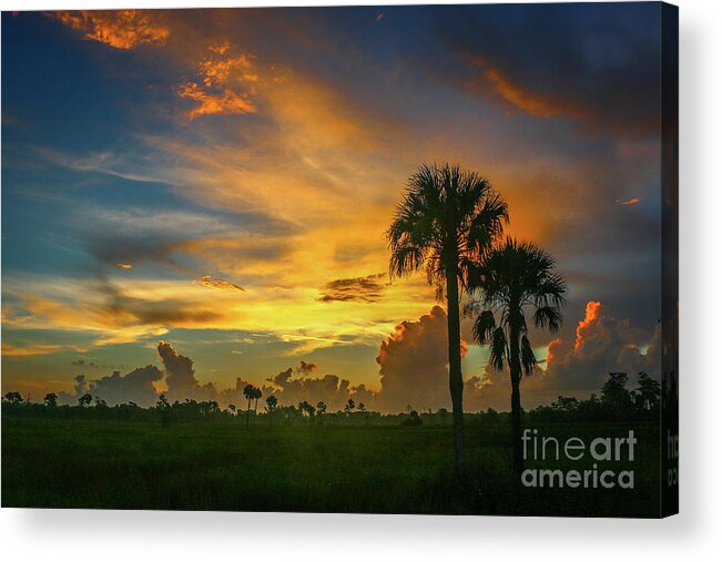 Palm Acrylic Print featuring the photograph Two Palm Silhouette Sunrise by Tom Claud