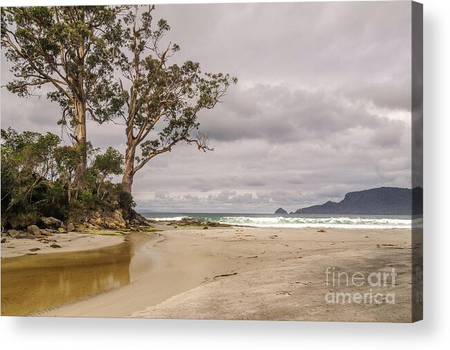 Landscape Acrylic Print featuring the photograph Two Tree Point by Werner Padarin