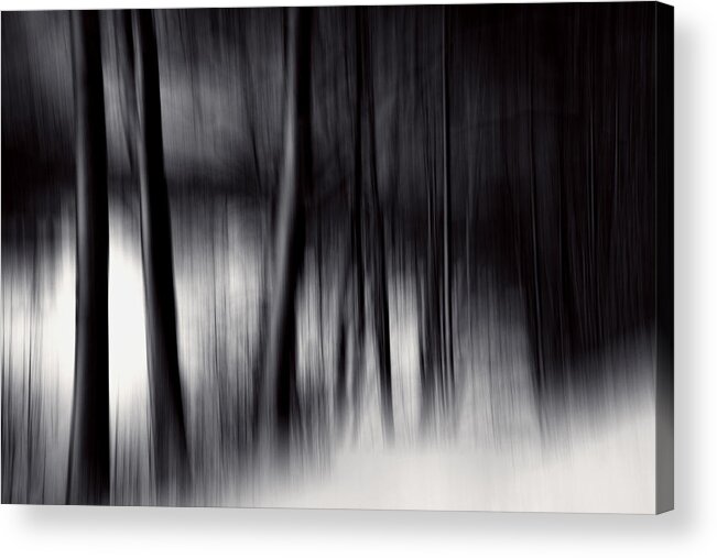 Forest Acrylic Print featuring the photograph Undertones by Dorit Fuhg