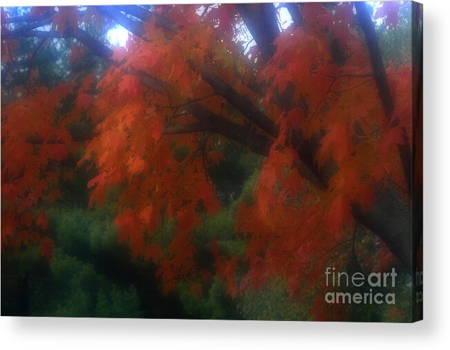 Autumn Acrylic Print featuring the photograph Untitled 25 by Jeff Breiman