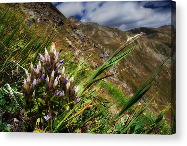 Environment Acrylic Print featuring the photograph Untitled 94 by Roberto Pagani
