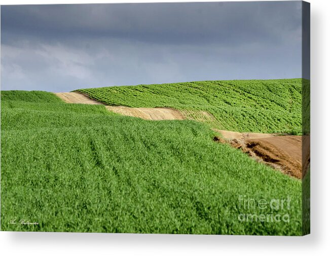 Panorama Acrylic Print featuring the photograph Up and down on the way up by Arik Baltinester