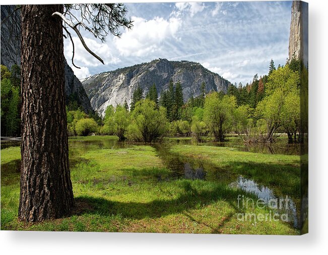 Meadow Acrylic Print featuring the photograph Upper Meadow Mirror Lake by David Arment