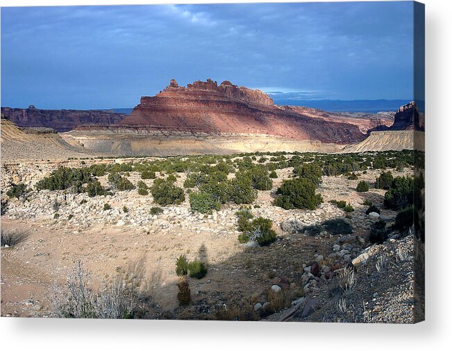 Interstate 80 Acrylic Print featuring the photograph Utah - Vista by DArcy Evans