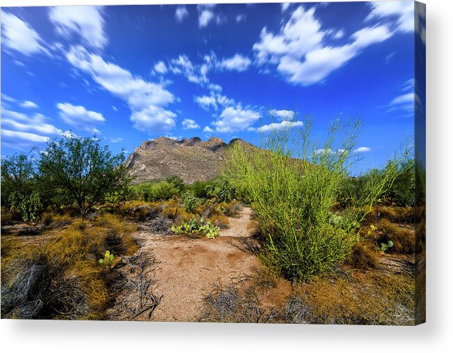 Arizona Acrylic Print featuring the photograph Valley View h102 by Mark Myhaver