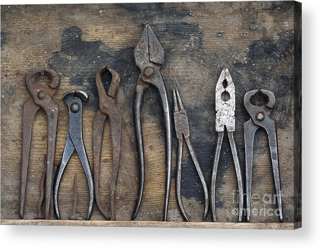Apparatus Acrylic Print featuring the photograph Various forceps by Michal Boubin