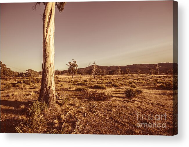 Tree Acrylic Print featuring the photograph Vast pastoral Australian countryside by Jorgo Photography