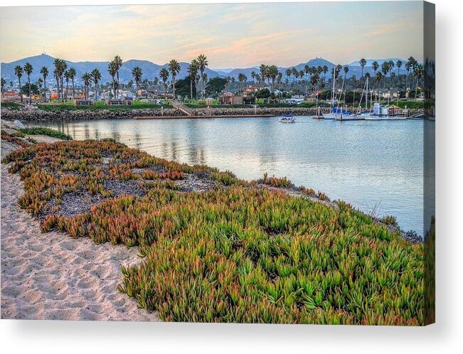 Ocean Marina Harbor Boats Sailboat Two Trees Sand Water Acrylic Print featuring the photograph Ventura Marina One by Wendell Ward