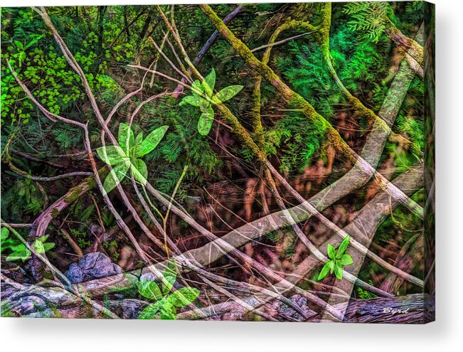 Roots Acrylic Print featuring the photograph Verdant Tangle by Christopher Byrd