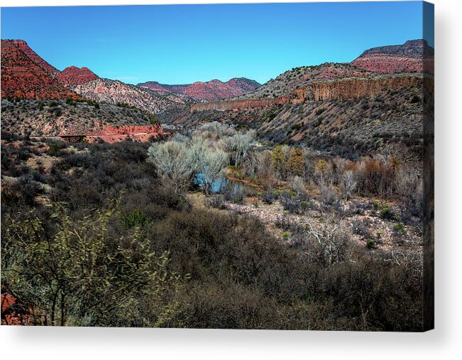 Oasis Acrylic Print featuring the photograph Verde Canyon oasis by Susie Weaver
