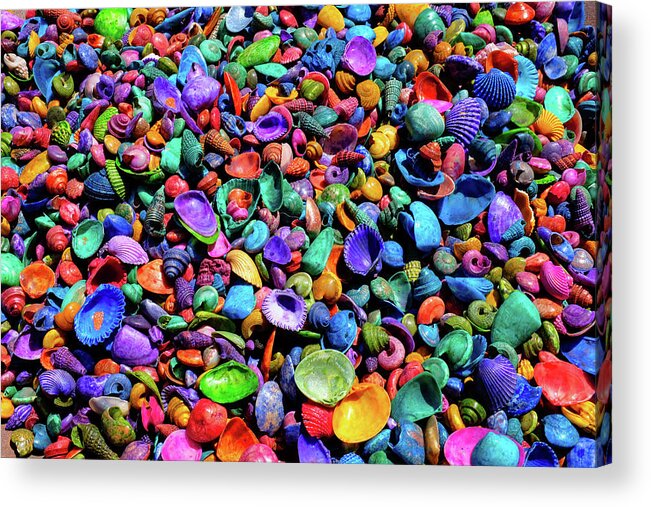 Seashells Acrylic Print featuring the photograph Vibrant Colorful Carpet of Colored Seashells by Kathy Anselmo