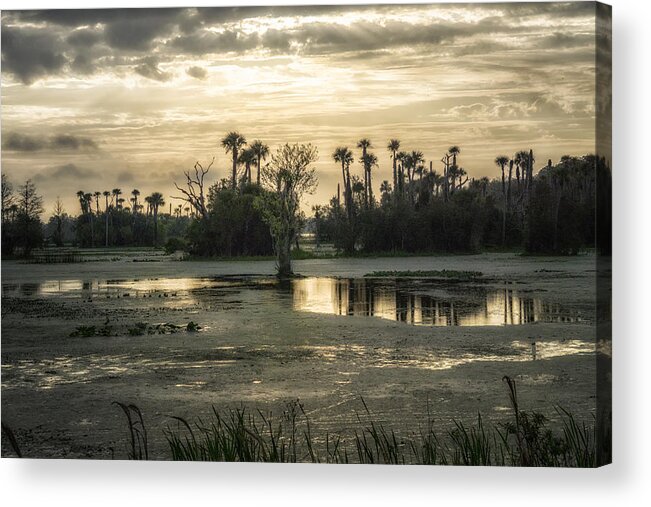Crystal Yingling Acrylic Print featuring the photograph Viera Storm by Ghostwinds Photography