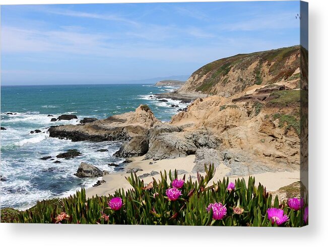 Bodega Head Acrylic Print featuring the photograph View from Bodega Head in Bodega Bay CA - 2 by Christy Pooschke