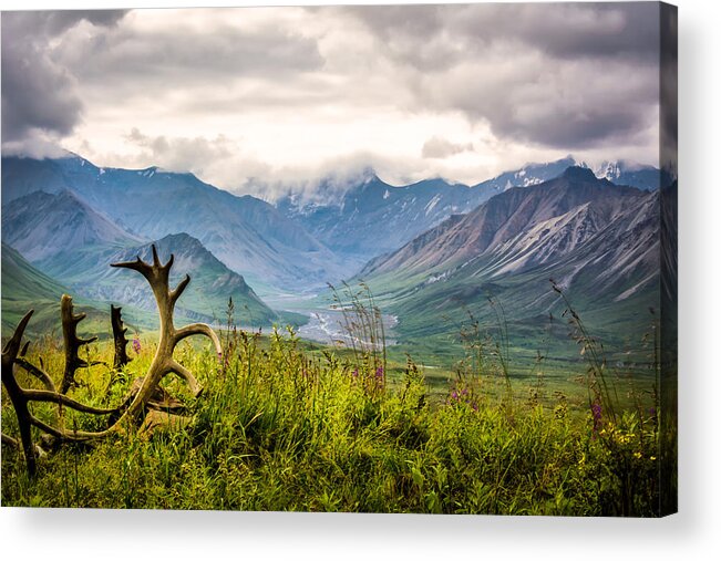 Alaska Acrylic Print featuring the photograph View from Eielson by Claudia Abbott