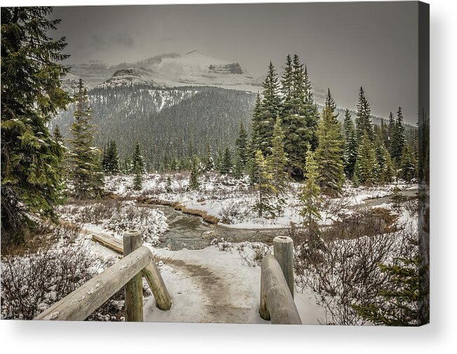 Bridge Acrylic Print featuring the photograph View from the bridge by Bill Howard