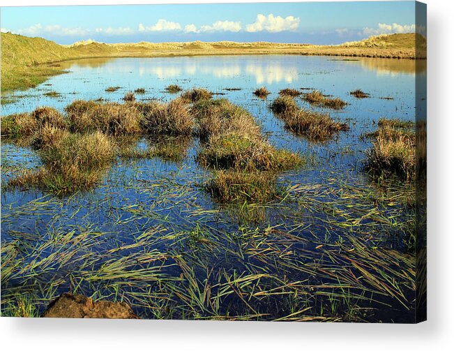 Marsh. Ireland Acrylic Print featuring the photograph View of the Marsh by Jennifer Robin