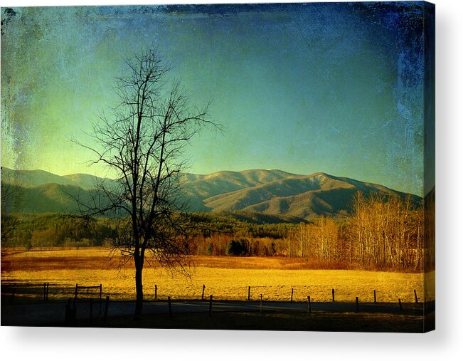 Cades Cove Acrylic Print featuring the photograph View Of The Smokies by Mike Eingle