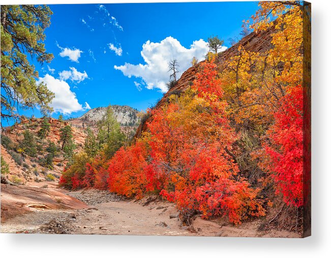 Landscape Acrylic Print featuring the photograph Visual Treats of Zion by John M Bailey