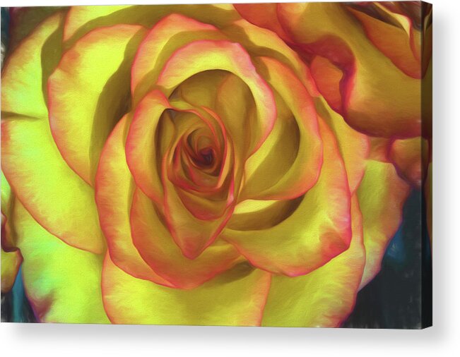 Topaz Impressions Acrylic Print featuring the photograph Vivid Rose by John Roach