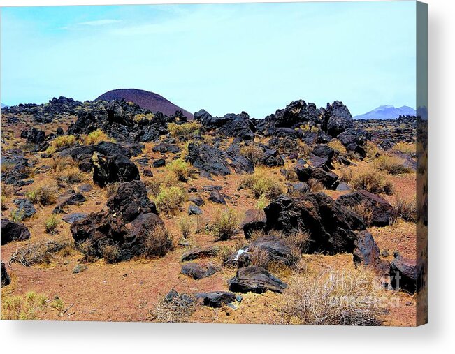 Basaltic Falls Acrylic Print featuring the photograph Volcanic Field by Joe Lach