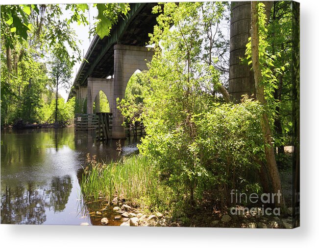 Waccamaw River Acrylic Print featuring the photograph Waccamaw Memorial Bridge by the Riverbank in May by MM Anderson