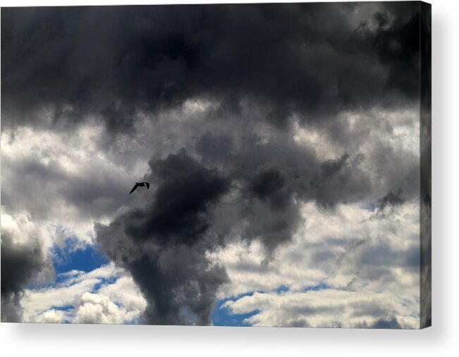 Clouds Acrylic Print featuring the photograph Waiting for the Storm with Gull by Mary Bedy