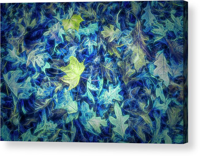 Fall Acrylic Print featuring the photograph Waiting for the Winter in Blue by Debra and Dave Vanderlaan