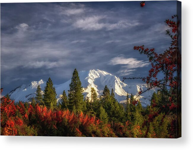 California Acrylic Print featuring the photograph Waking Up by Marnie Patchett