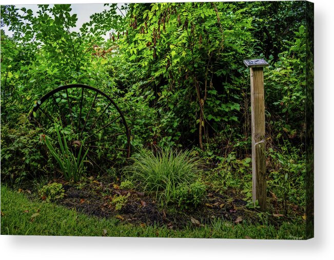 Wheel Acrylic Print featuring the photograph Walk in the park by Tim Buisman
