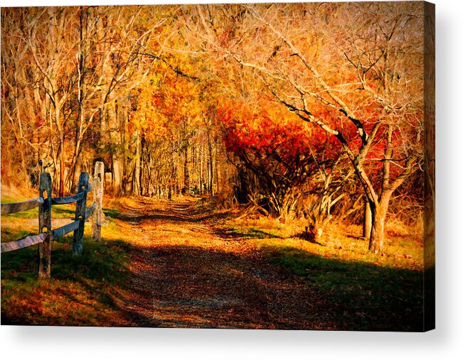 #jefffolger Acrylic Print featuring the photograph Walking down the autumn path by Jeff Folger