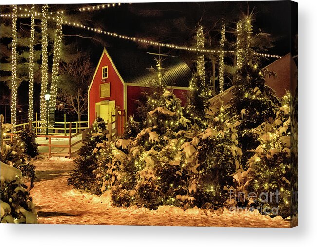 #elizabethdow Acrylic Print featuring the photograph Walking in a Bean's Winter Wonderland by Elizabeth Dow