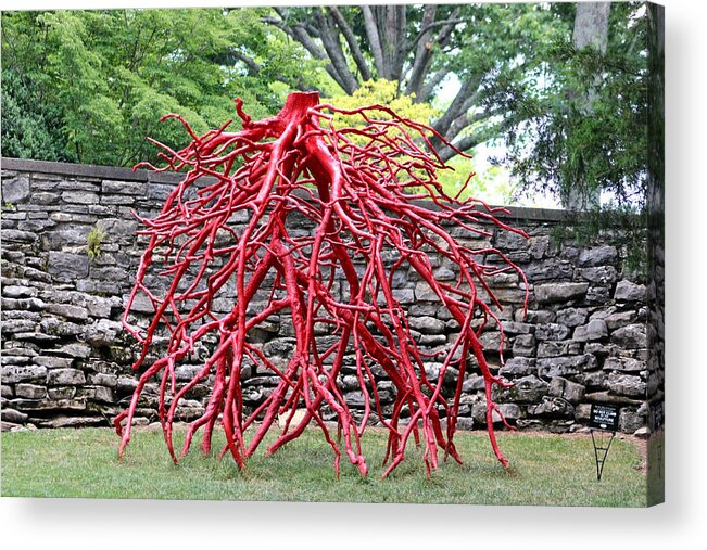 Sculpture Acrylic Print featuring the photograph Walking Roots Sculpture 2 by Gayle Miller