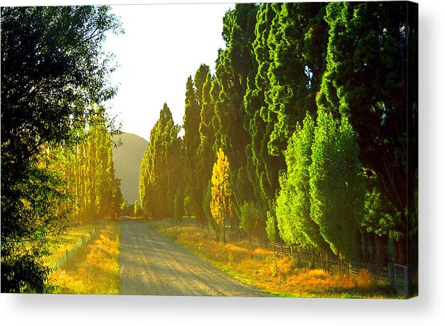 Wanaka Acrylic Print featuring the photograph Wanaka Morning Light by Kevin Smith