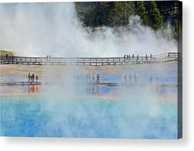 Yellowstone Acrylic Print featuring the photograph Wandering and Wondering at Grand Prismatic Spring by Bruce Gourley