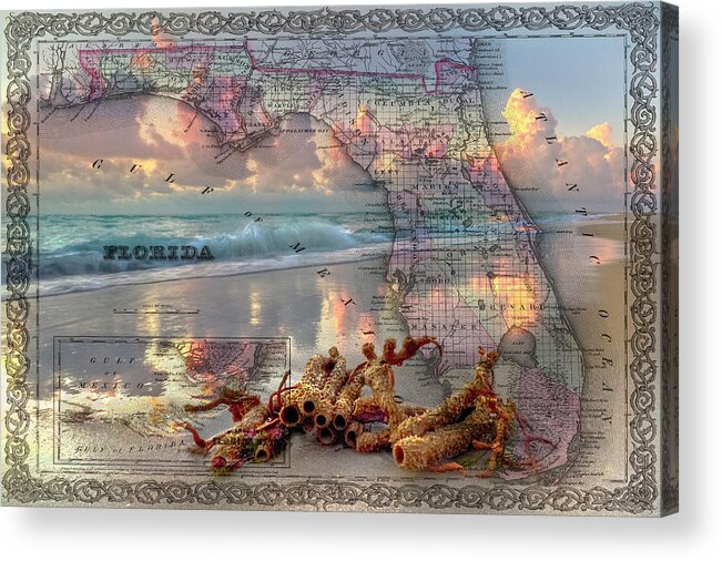 Atlantic Acrylic Print featuring the photograph Washed up on Shore by Debra and Dave Vanderlaan
