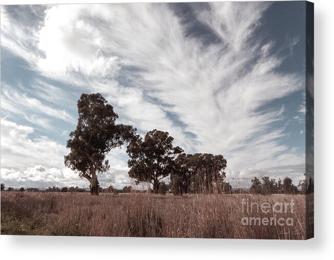 Clouds Acrylic Print featuring the photograph Watching clouds float across the sky by Linda Lees