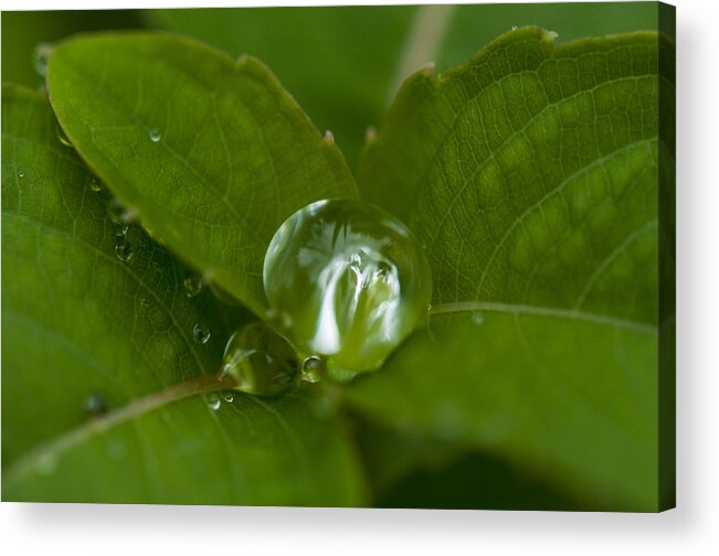 Absence Acrylic Print featuring the photograph Water ball by Brian Green