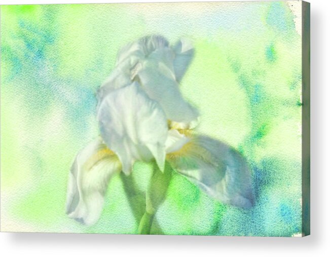 Iris Acrylic Print featuring the photograph Watercolor Iris by Joan Bertucci