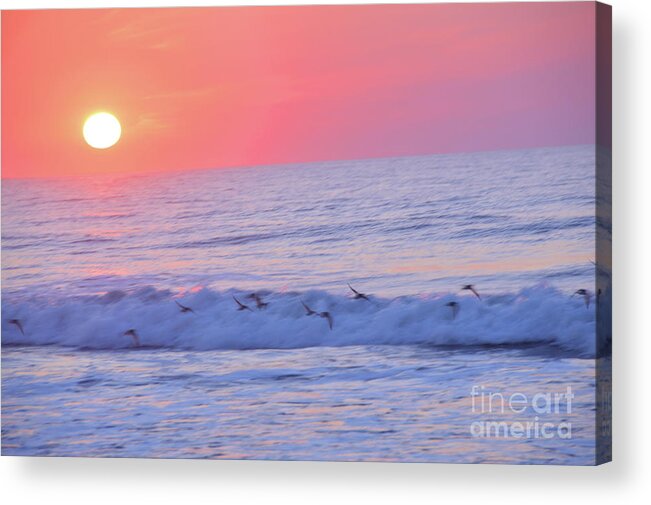 America Acrylic Print featuring the photograph Wave of Gratitude Nature Art by Robyn King