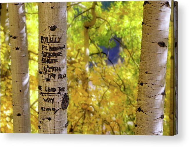 Colorado Acrylic Print featuring the photograph We Lead The Way - Aspens - Colorado - Airborne Ranger by Jason Politte