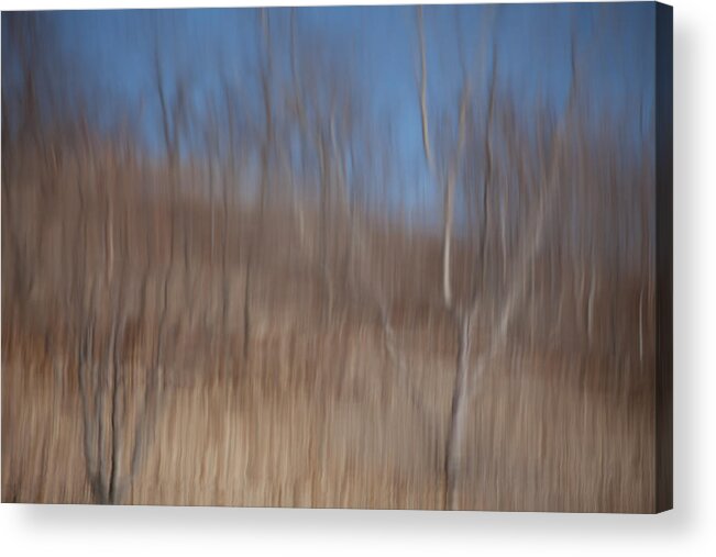 Weary Reflections Acrylic Print featuring the photograph Weary Reflections by Karol Livote